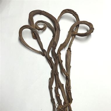 Banana Sticks - Curly