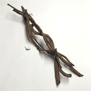 Curly Vine