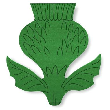 Floral Foam Thistle - 60cm x 60cm