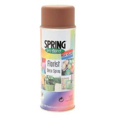 Spray Paint - Rust Brown