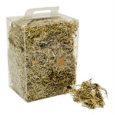 Forest Moss - Natural
