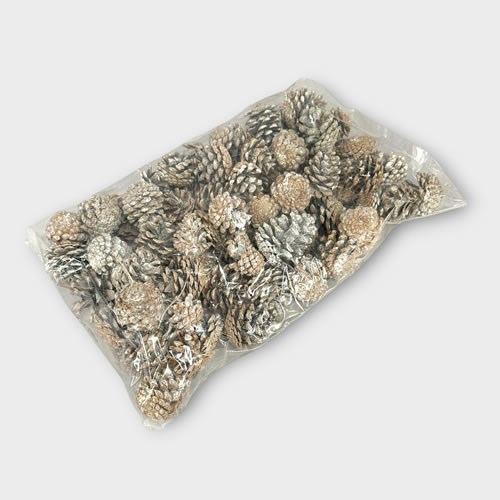 Pine Cones Frosted 1kg (Dried)