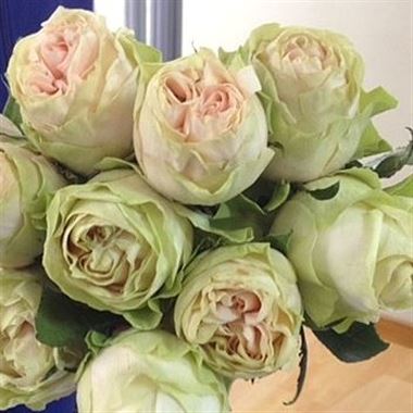 Rose Garden Wedding Spirit