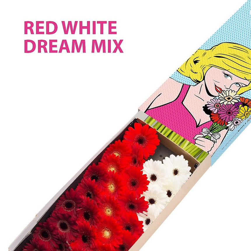 GERMINI RED WHITE DREAM MIX (secure boxed)