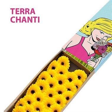 GERMINI TERRA CHANTI (secure boxed)