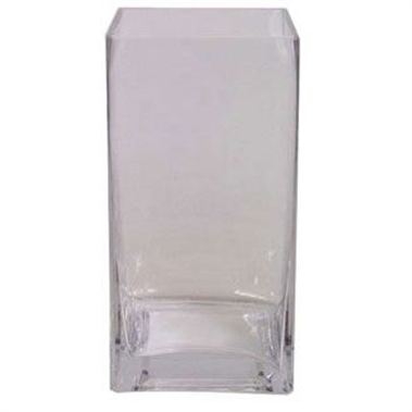 Glass Tank Vase 15x10x10cm Florist Supplies Triangle Nursery