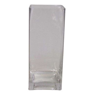 Glass Tank Vase - 25 x 10 x 10cm