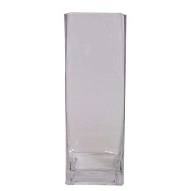 Glass Tank Vase - 30 x 10 x 10cm 