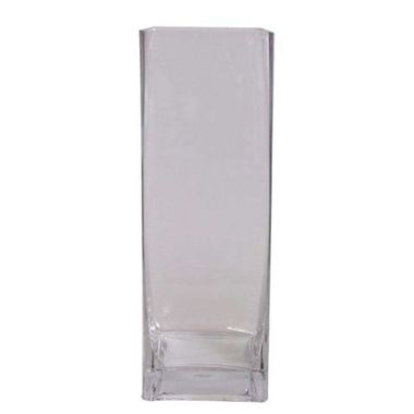 Glass Tank Vase - 30 x 10 x 10cm