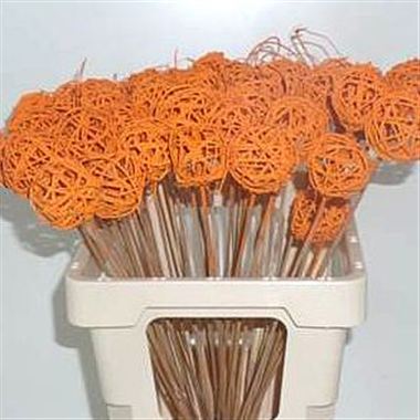 Grassball Picks - orange