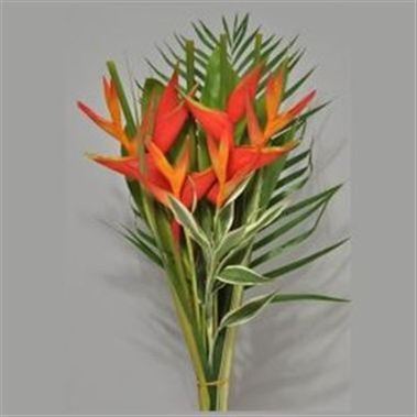 Heliconia Bqt Cotiere