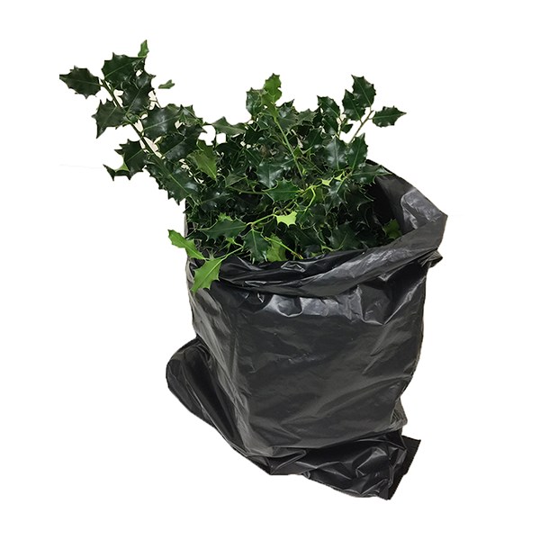 Holly Green (English) x bag