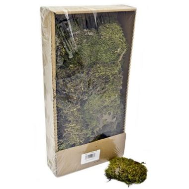 Indian Moss - Natural