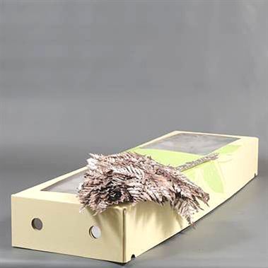 Leatherleaf Metallic Platinum