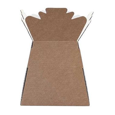 Living Vases - Kraft