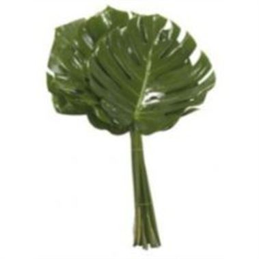 Monstera Leaves Small 40cm