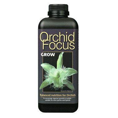 Orchid Focus - Grow