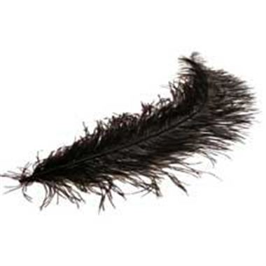 Ostrich Feathers - Black