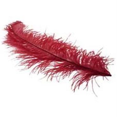 Ostrich Feathers - Burgundy