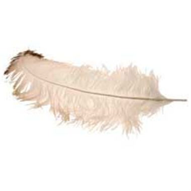 Ostrich Feathers - Natural