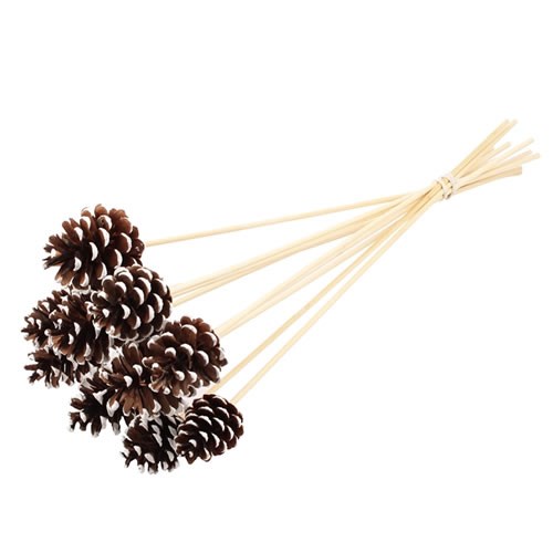 PINE CONE PICKS (FROSTED)