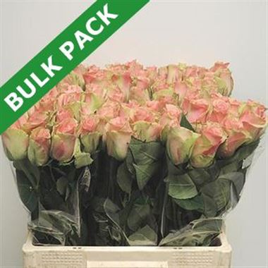 Rose belle pink (bulk pack)