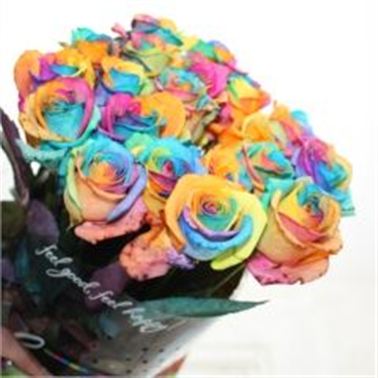 Rose Dyed Rainbow