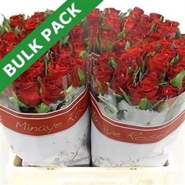Rose furiosa (bulk pack)