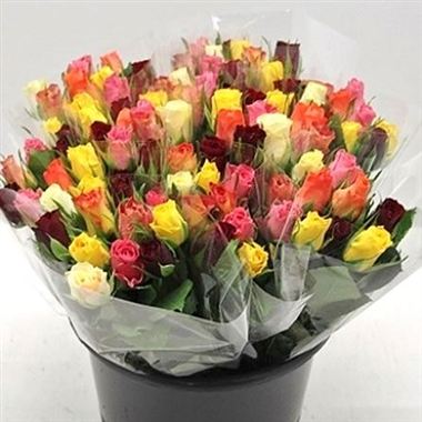 Rose mix 50cm - Cols may vary to image