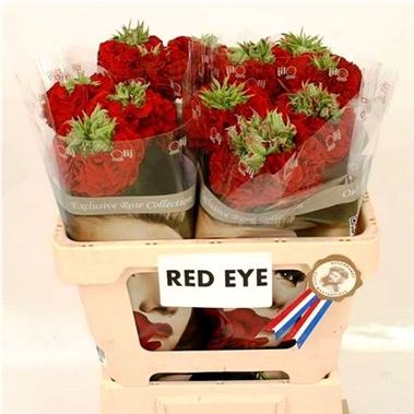 Rose red eye