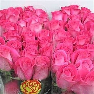 Rose topaz