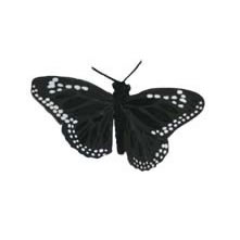 Butterflies Black Feather 2.75"
