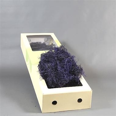 Tillandsia Moss - dyed purple
