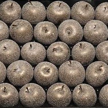 Waxed Apples - Titanium & Sugared
