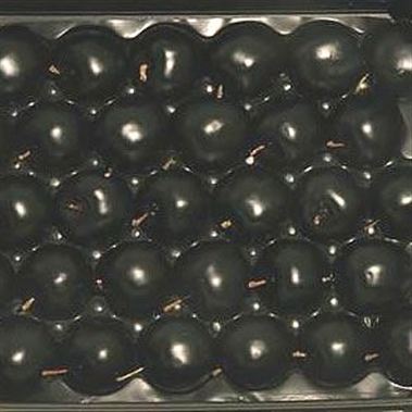 Waxed Apples - Black