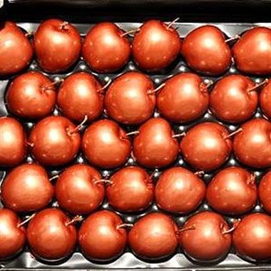 Waxed Apples - Copper