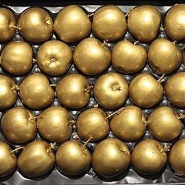 Waxed Apples - Gold