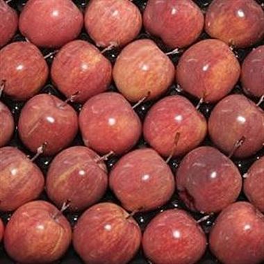 Waxed Apples - Natural