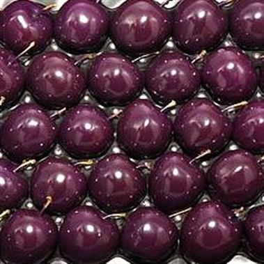 Waxed Apples - Purple