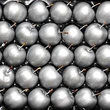 Waxed Apples - Silver