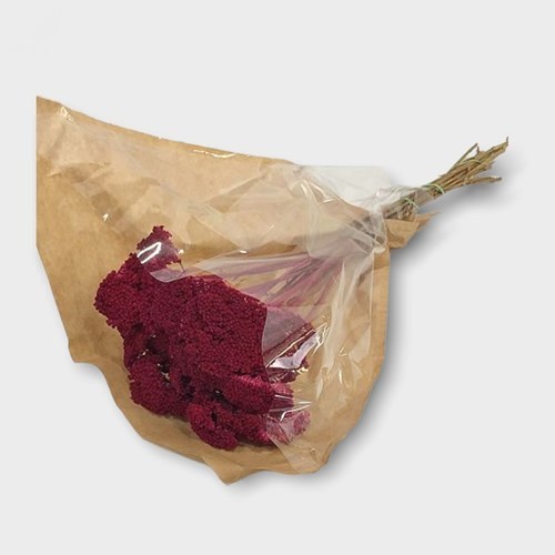 Achillea Filipendulina Red (Dried)
