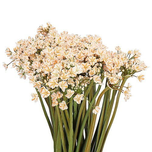 ALLIUM SPRAY - DYED ORANGE