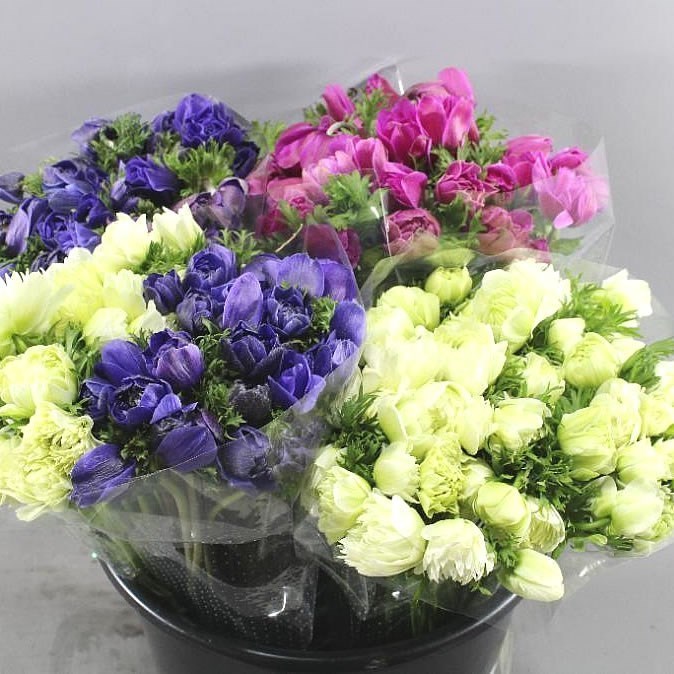 ANEMONE FULLSTAR MIX (COLS MAY VARY)