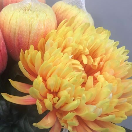 ANTONOV DYED SUNSHINE