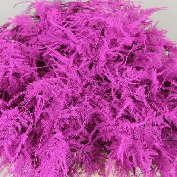 ASPARAGUS FERN DYED CERISE