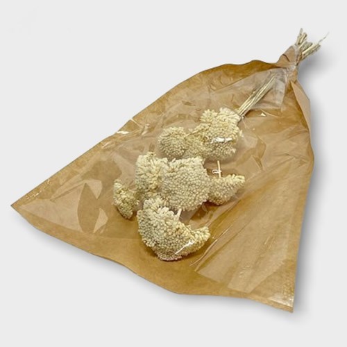 Achillea Filipendulina Bleached (Dried)