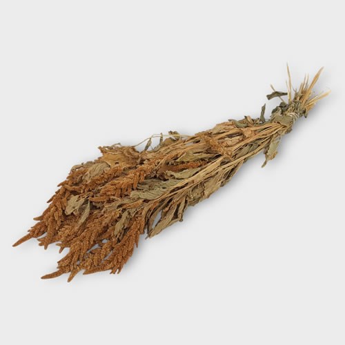 Amaranthus Gingerbread (Dried)