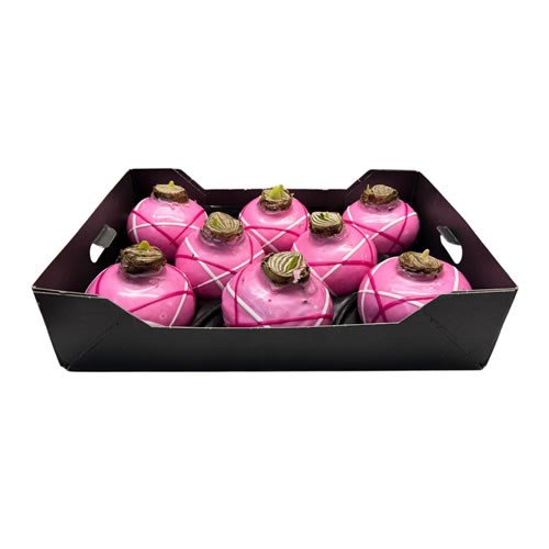 Amaryllis Bulbs - Waxed Pink & Stripes