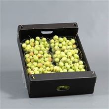 Apple Malus green small