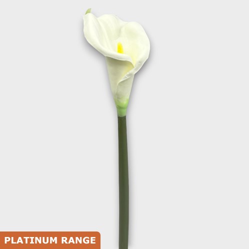 Artificial Faux Calla Lily White